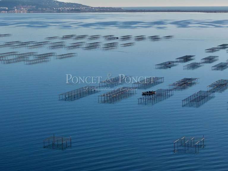 Propriété Montpellier - 2115m²