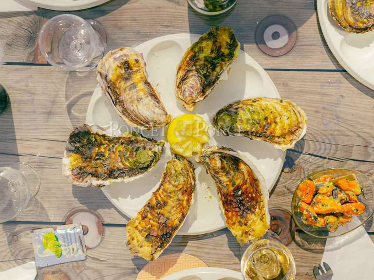 Propriété Montpellier - 2115m²