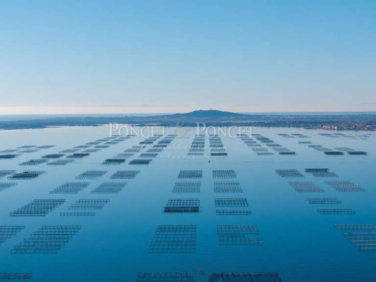 Propriété Montpellier - 2115m²