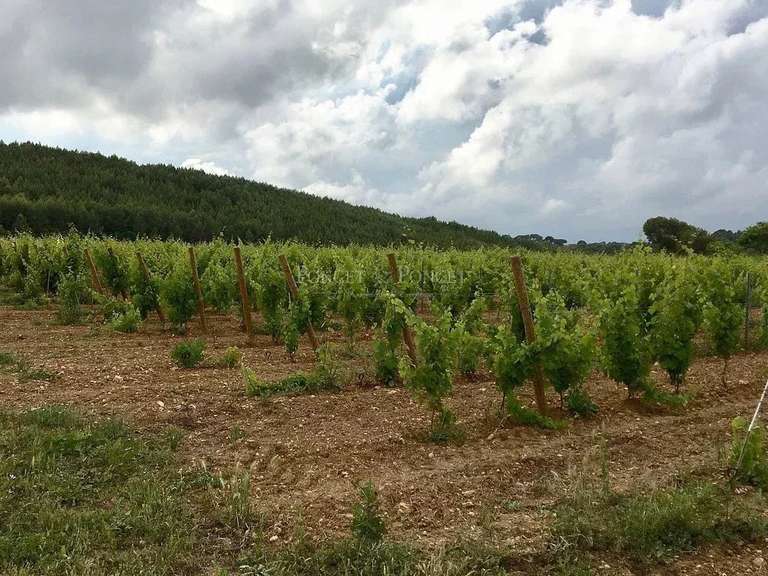 Propriété Montpellier - 20 chambres - 1133m²