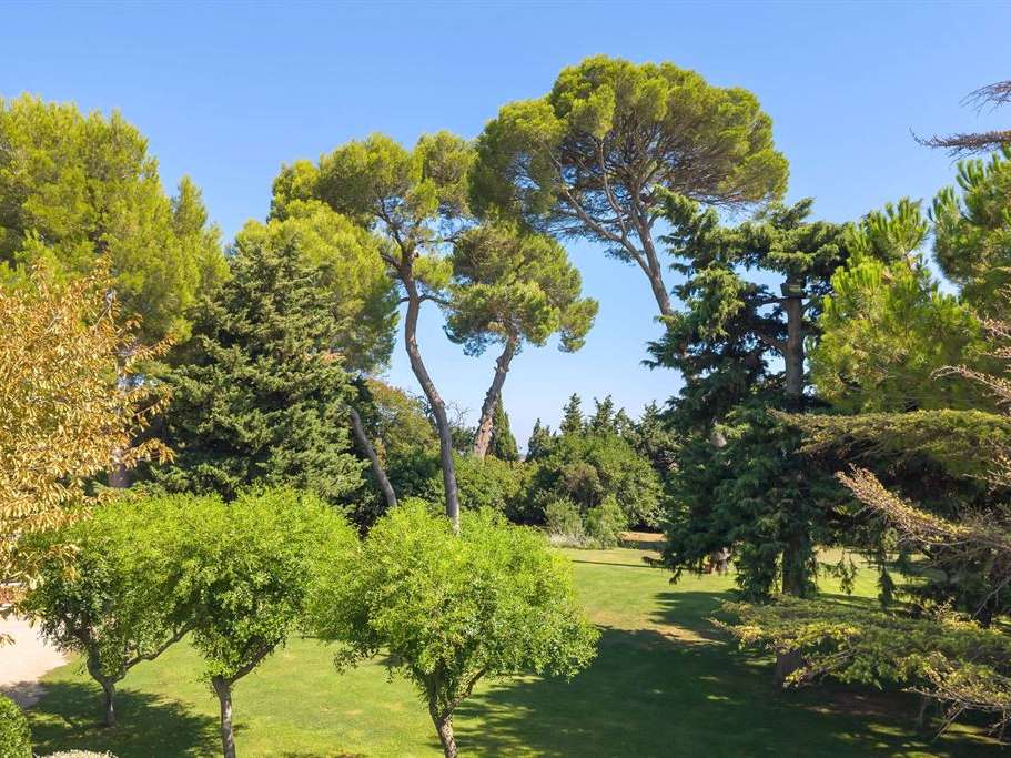 Propriété Montpellier