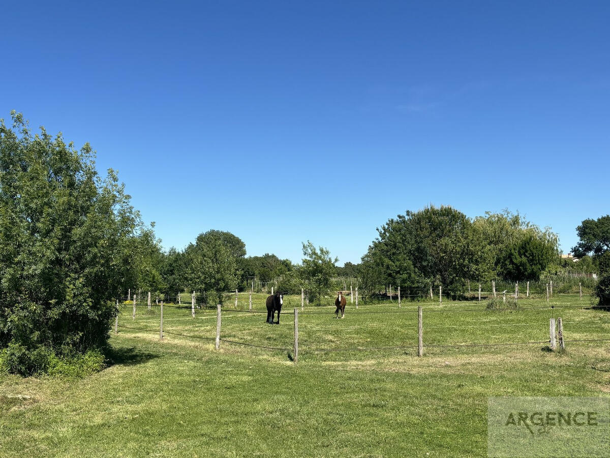 Equestrian property Montpellier
