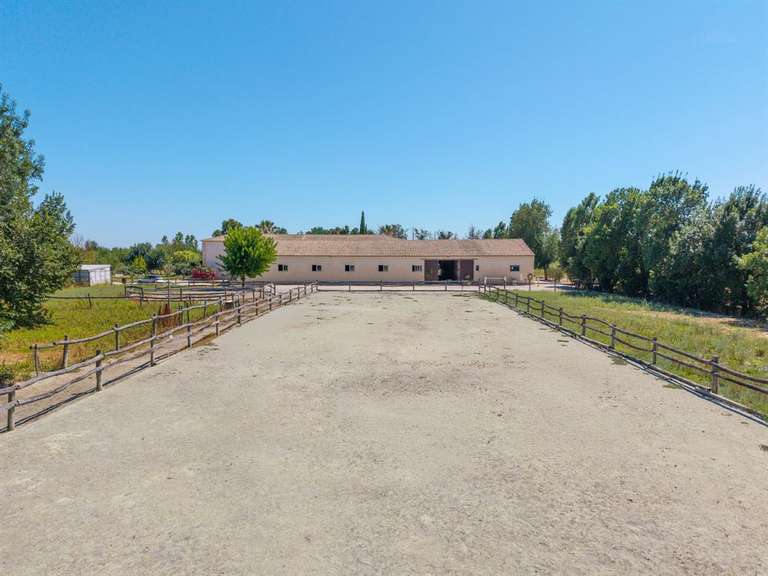 Propriété équestre Montpellier - 4 chambres - 306m²