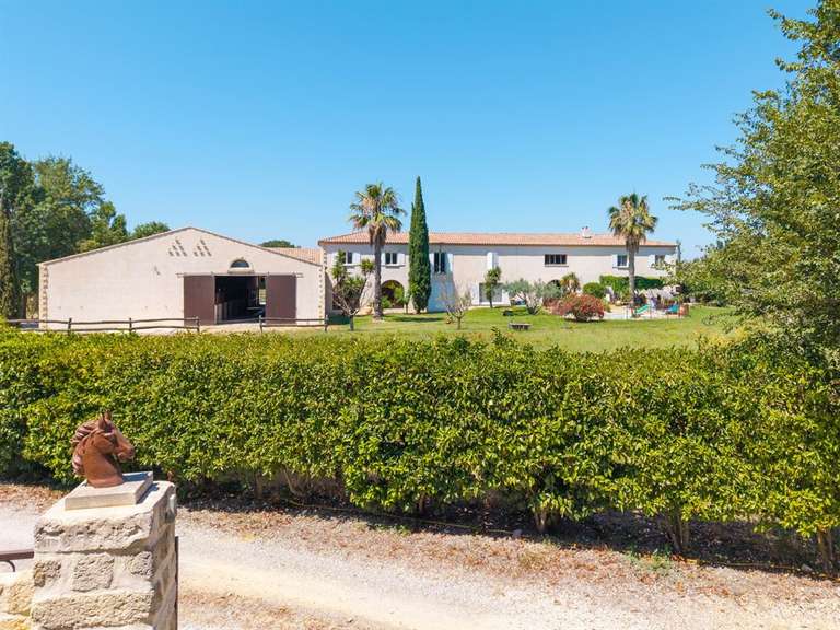 Propriété équestre Montpellier - 4 chambres - 306m²