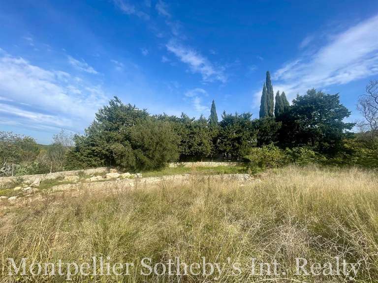Terrain Montpellier - 1585m²