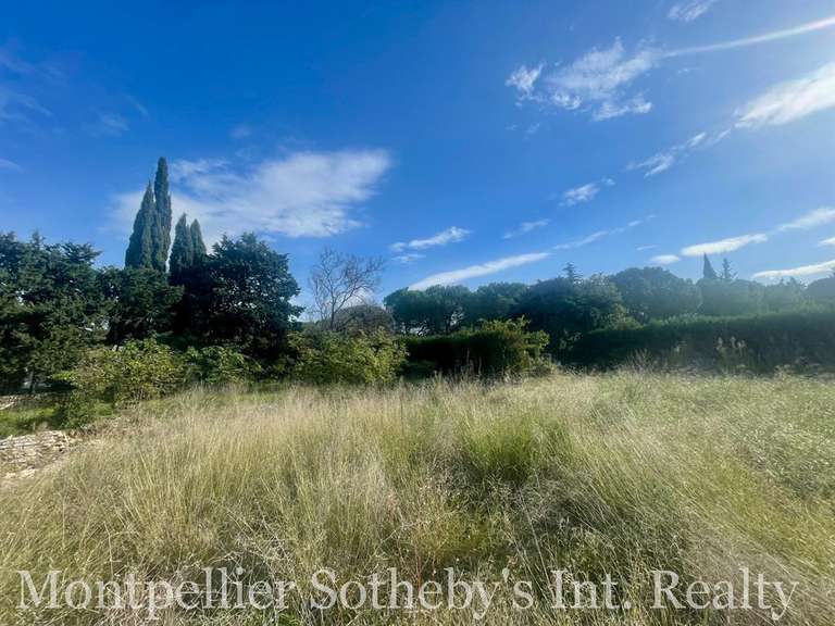 Terrain Montpellier - 1585m²