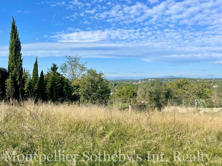 Terrain Montpellier - 1585m²