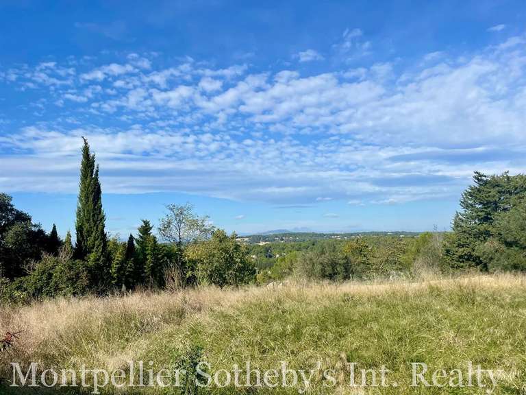 Terrain Montpellier - 1585m²