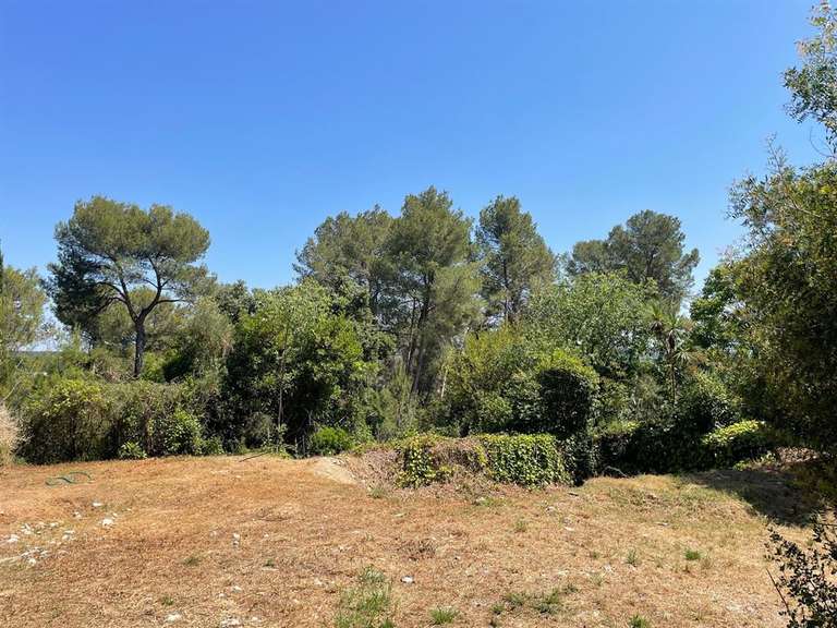 Terrain Montpellier - 1761m²