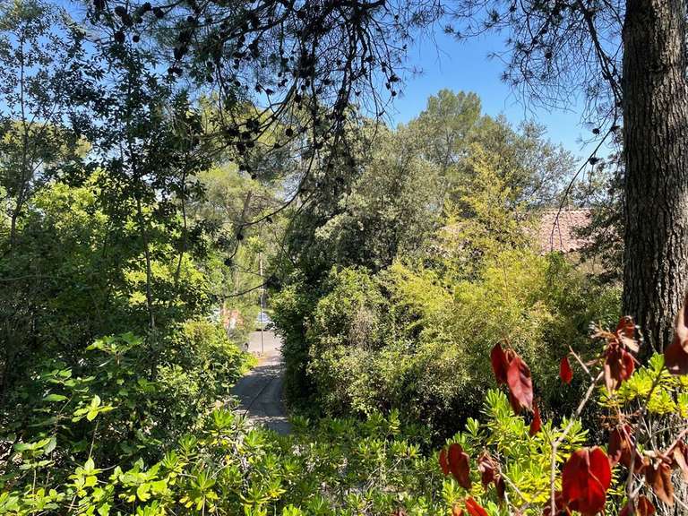 Terrain Montpellier - 1761m²