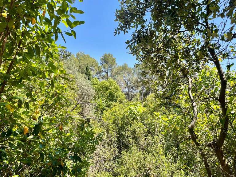 Terrain Montpellier - 1761m²