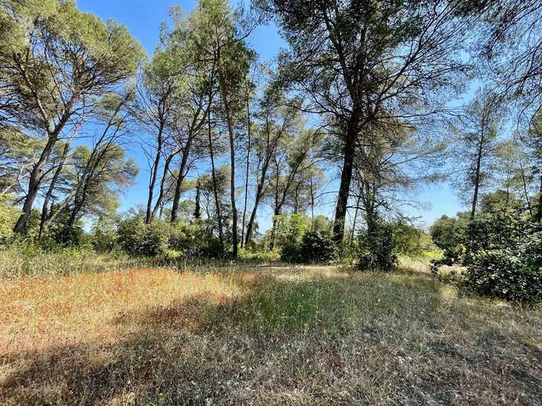 Terrain Montpellier - 1761m²