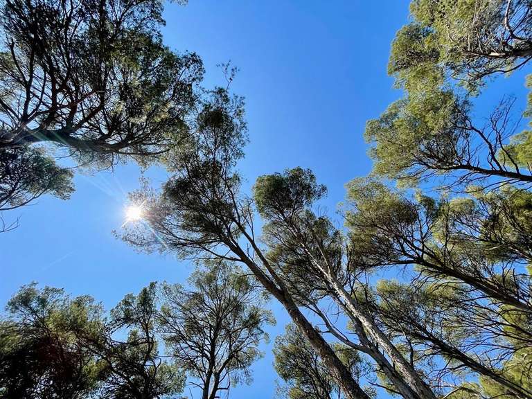 Terrain Montpellier - 1761m²