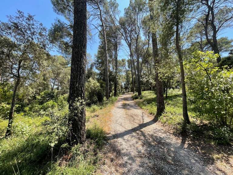 Terrain Montpellier - 1761m²