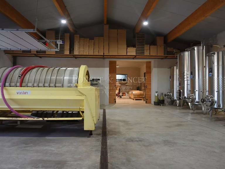 Domaine viticole Montpeyroux