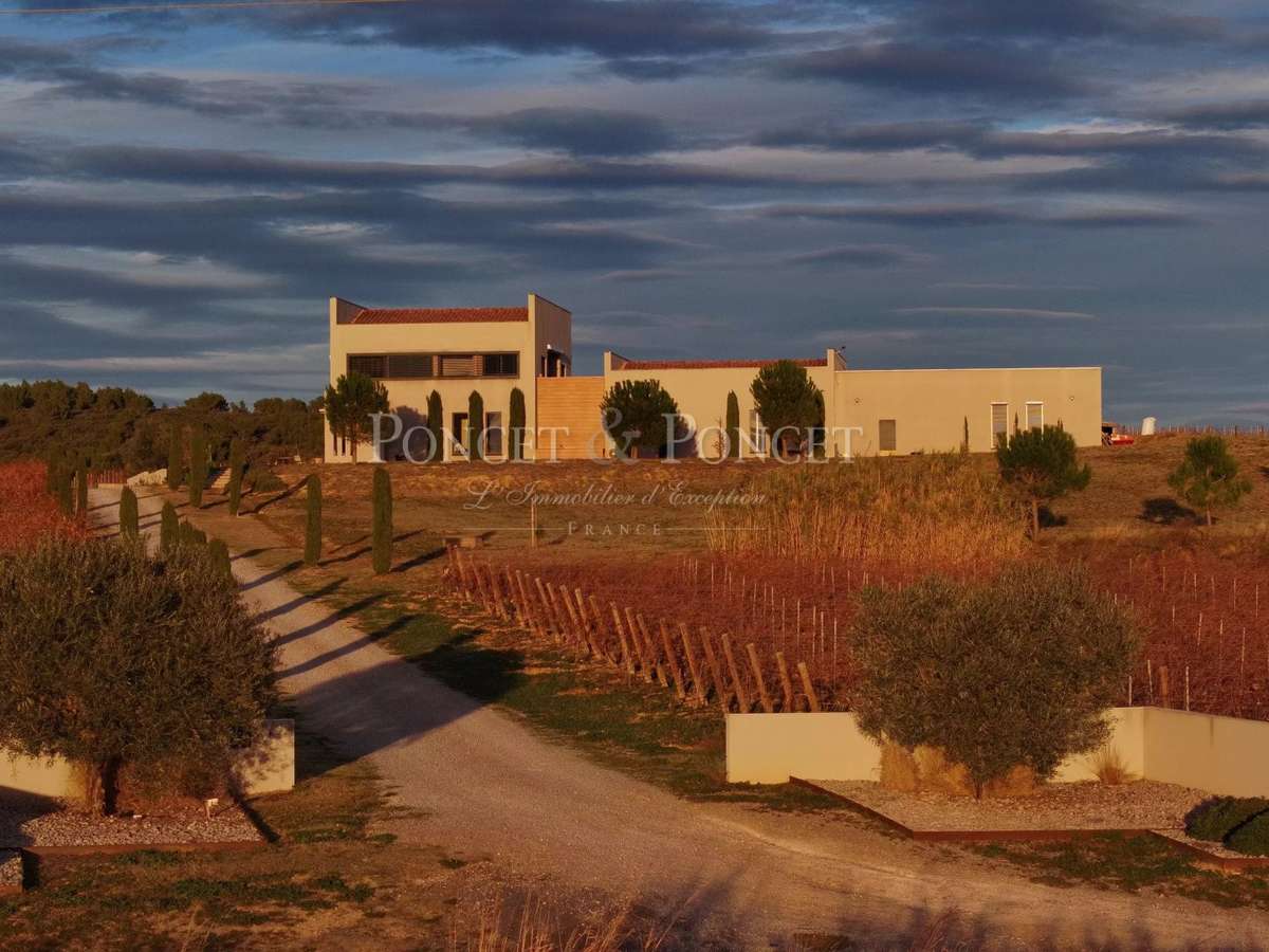 Domaine viticole Montpeyroux