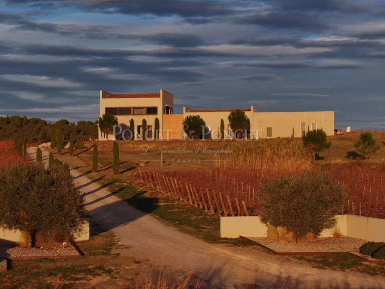 Domaine viticole Montpeyroux