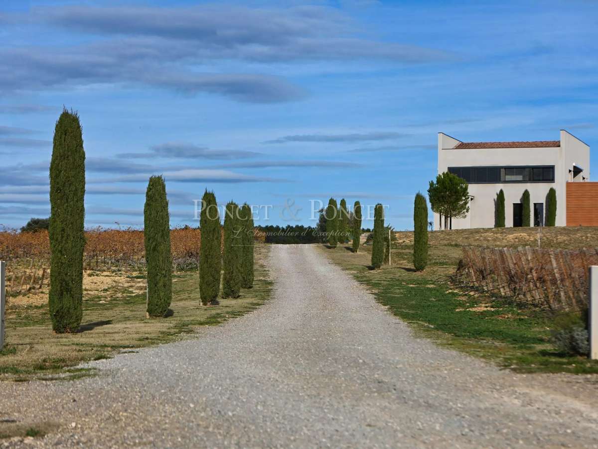 Domaine viticole Montpeyroux