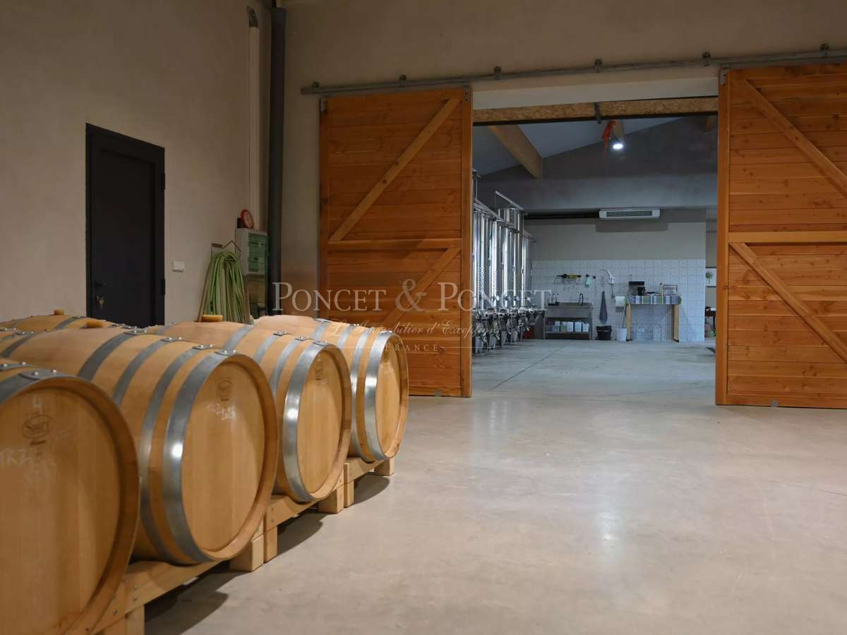 Domaine viticole Montpeyroux