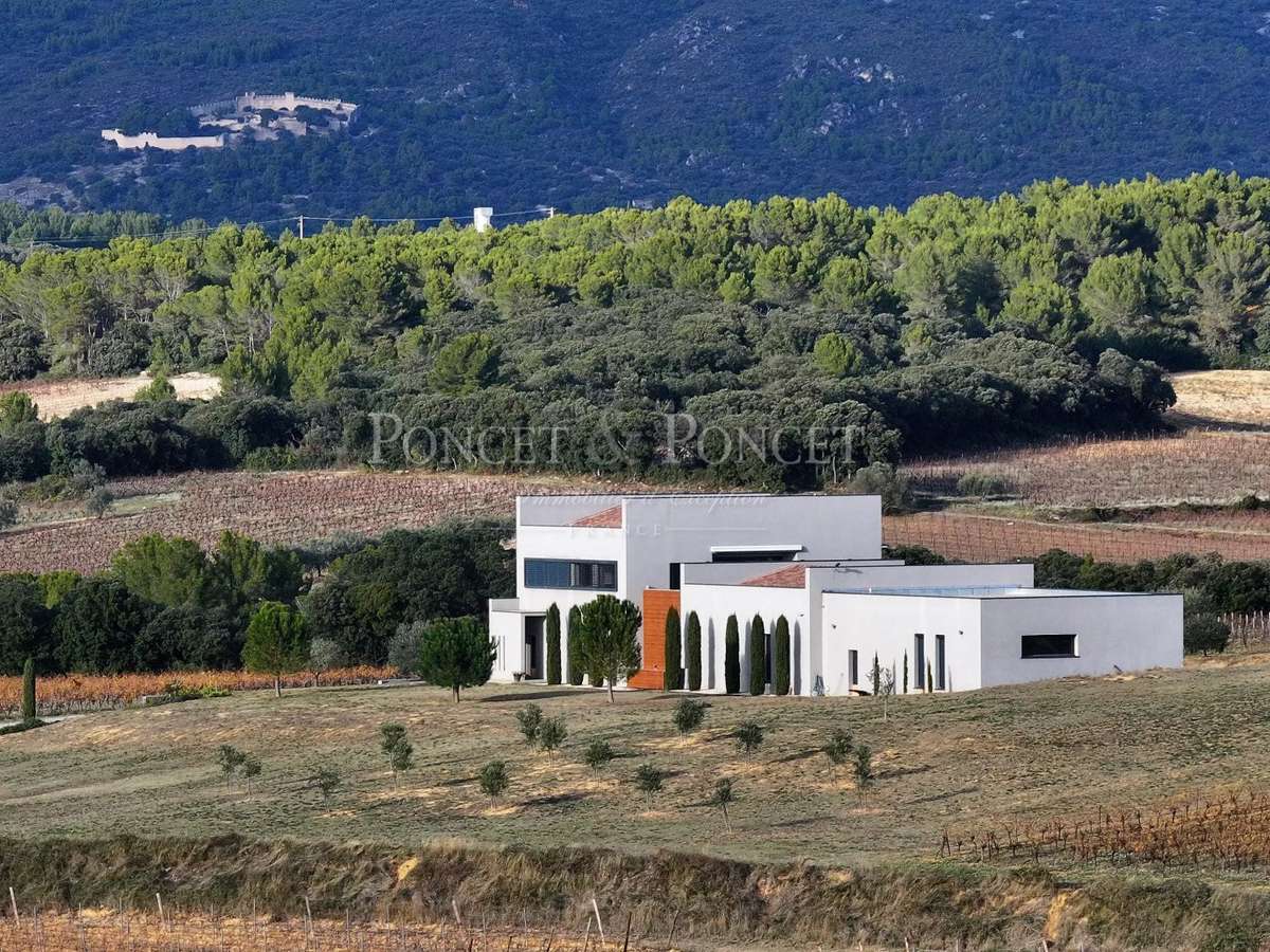 Vineyard Montpeyroux