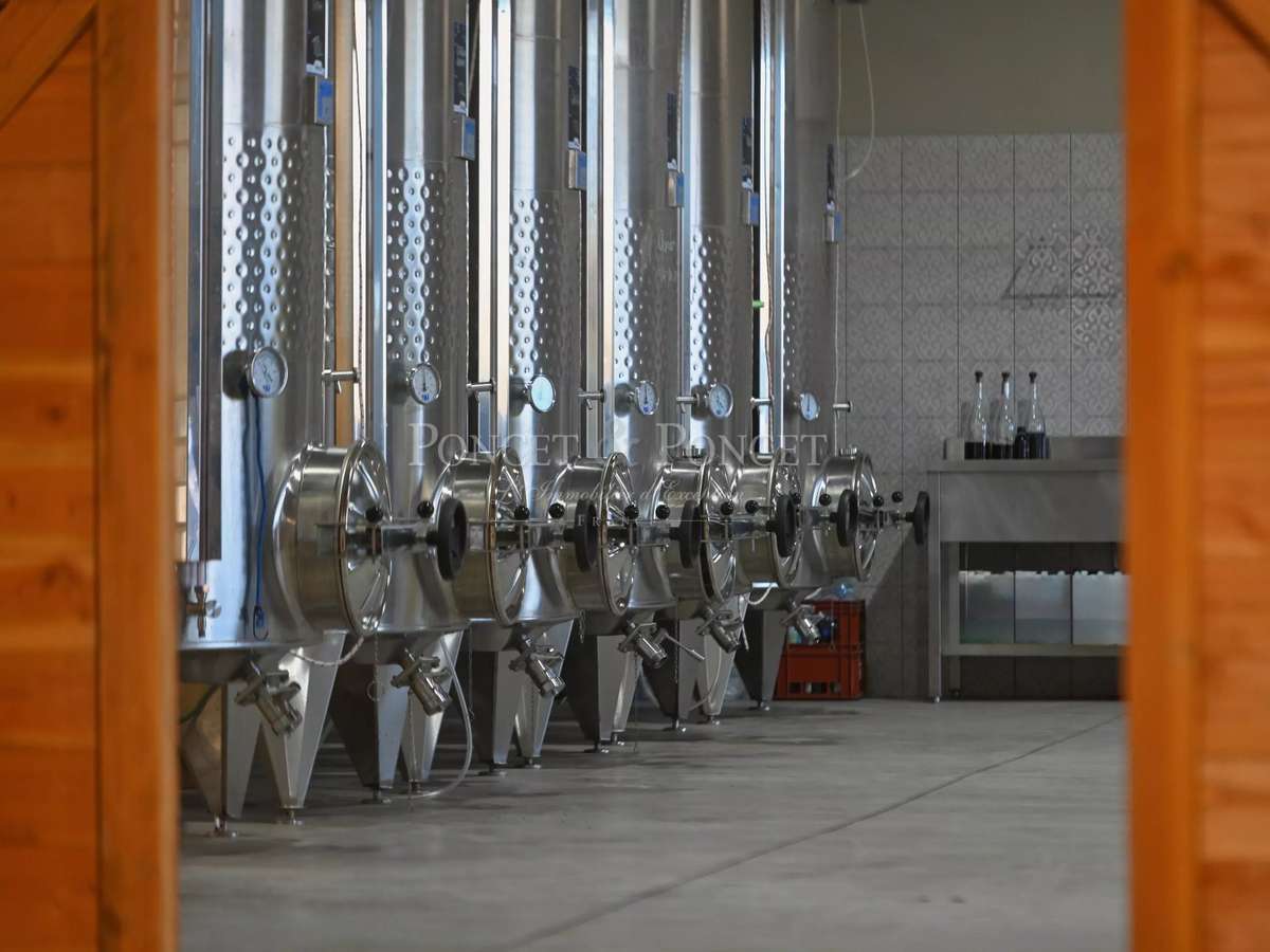 Domaine viticole Montpeyroux