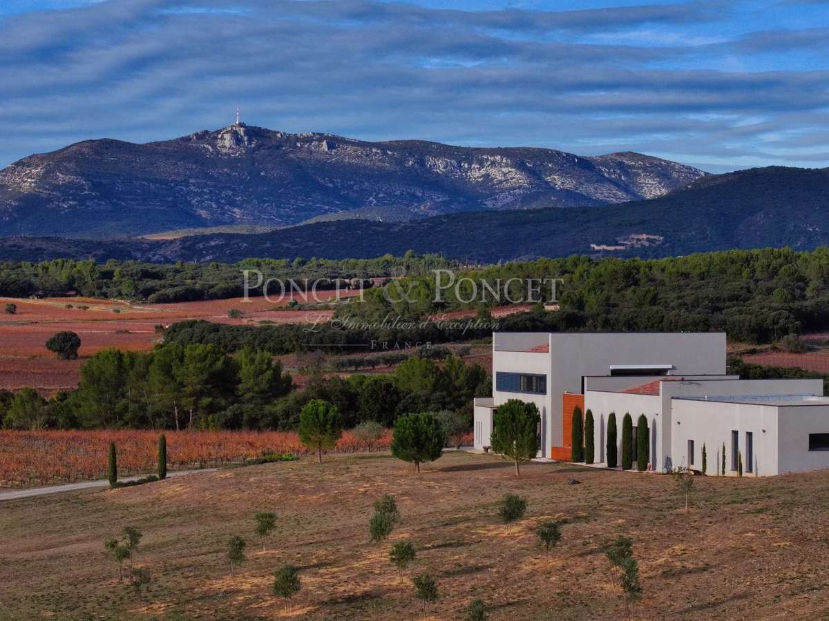 Domaine viticole Montpeyroux