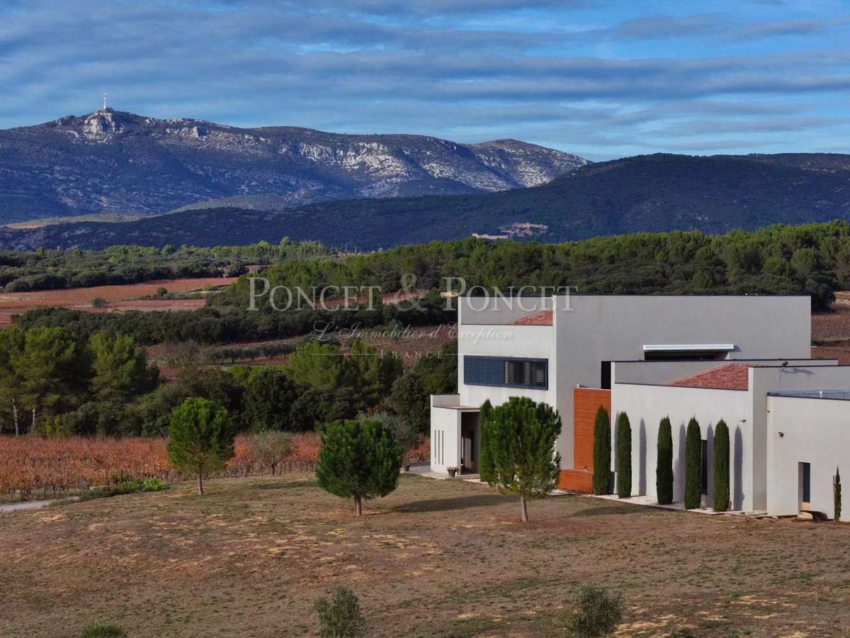 Domaine viticole Montpeyroux