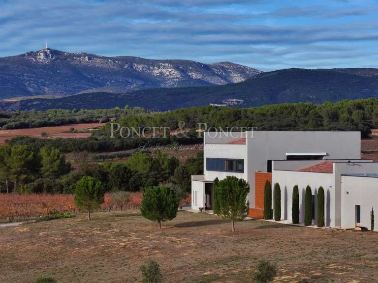 Domaine viticole Montpeyroux