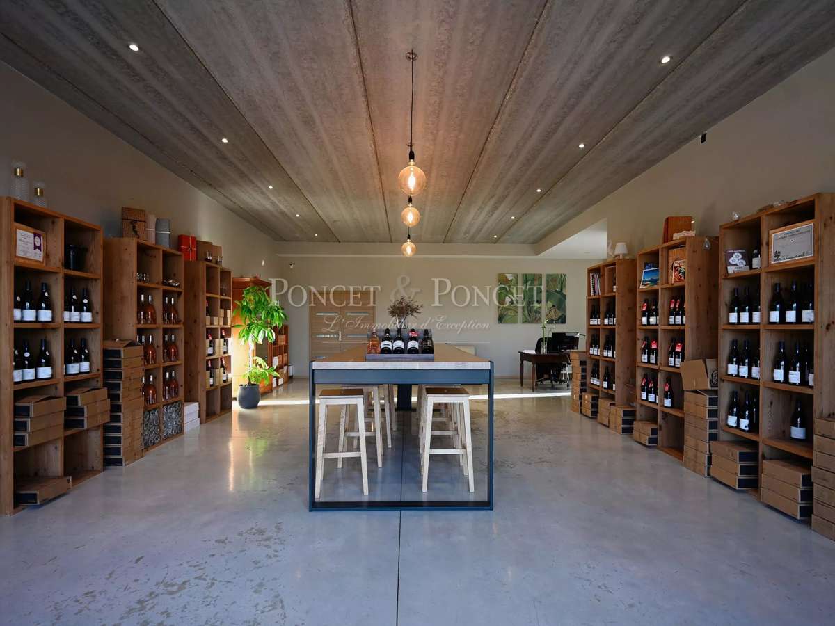 Domaine viticole Montpeyroux