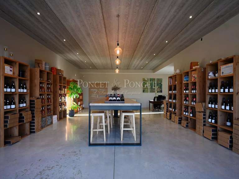 Domaine viticole Montpeyroux