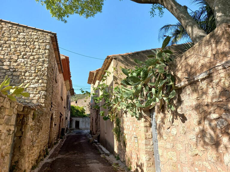 House Montpeyroux - 6 bedrooms - 323m²