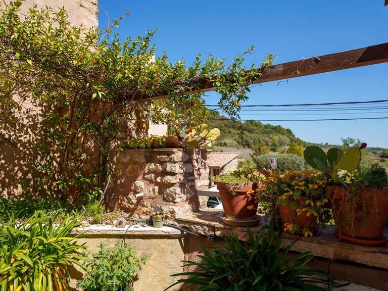 Maison Montpeyroux - 6 chambres - 323m²