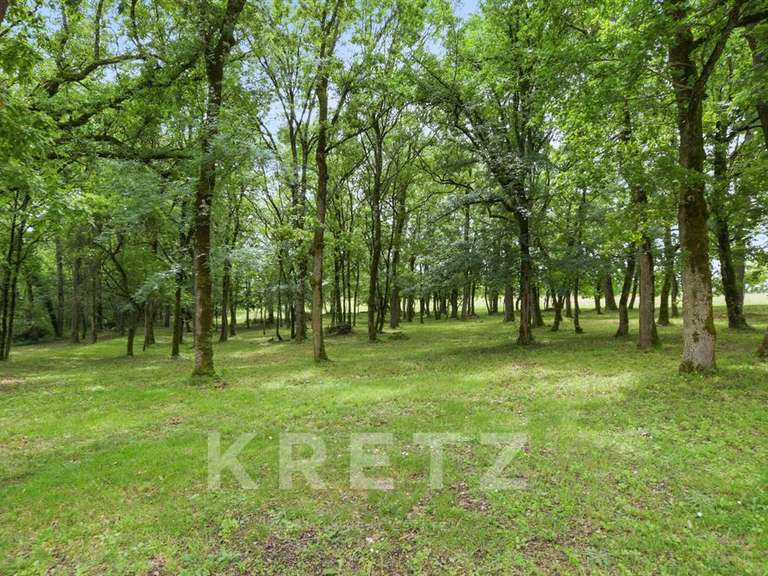 Castle Montpezat-de-Quercy - 9 bedrooms - 700m²