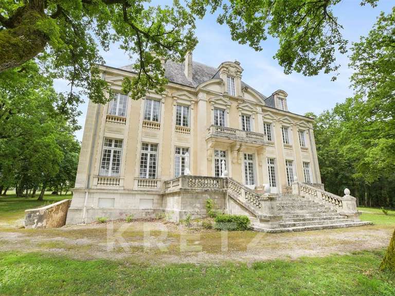 Castle Montpezat-de-Quercy - 9 bedrooms - 700m²
