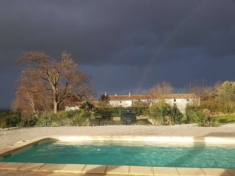 Maison Montréal - 16 chambres - 575m²