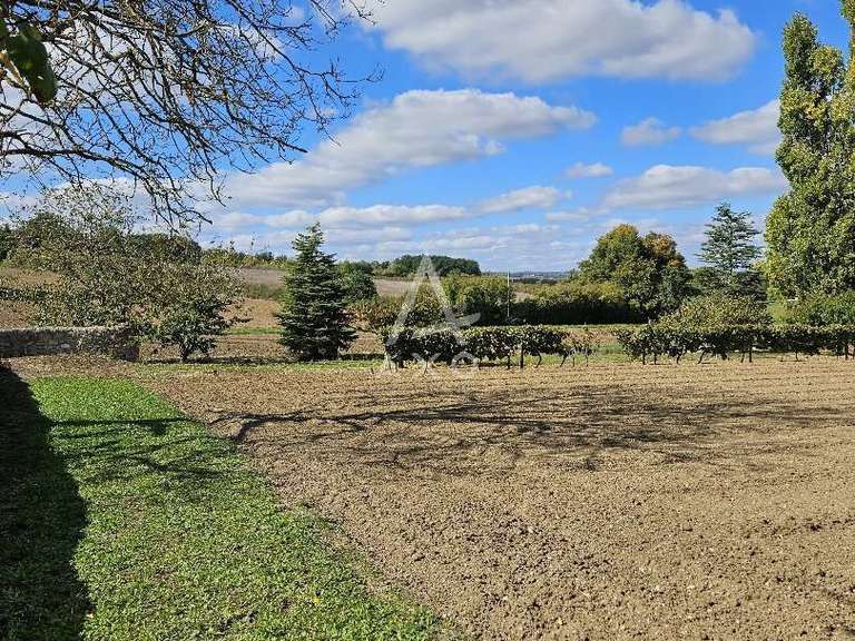 Propriété Montréal - 8 chambres