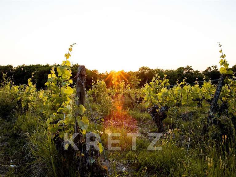 Château Montrichard - 14 chambres - 547m²