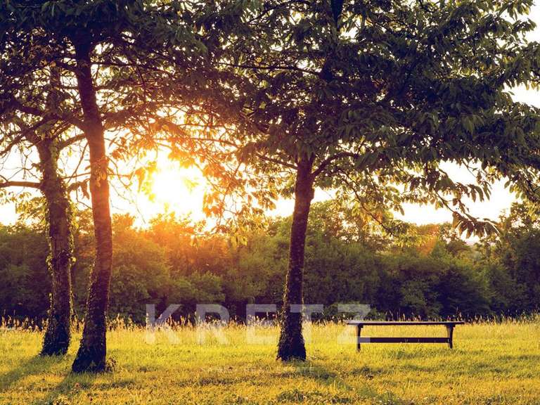 Château Montrichard - 14 chambres - 547m²