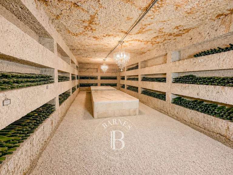 Maison Montrichard Val de Cher - 7 chambres - 241m²