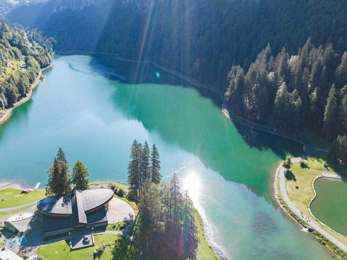 Chalet Montriond