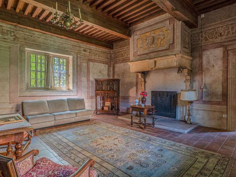 Manoir Morancé - 4 chambres - 350m²