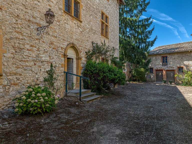 Manoir Morancé - 4 chambres - 350m²