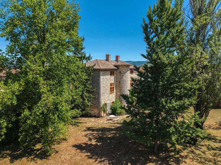 Manoir Morancé - 4 chambres - 350m²