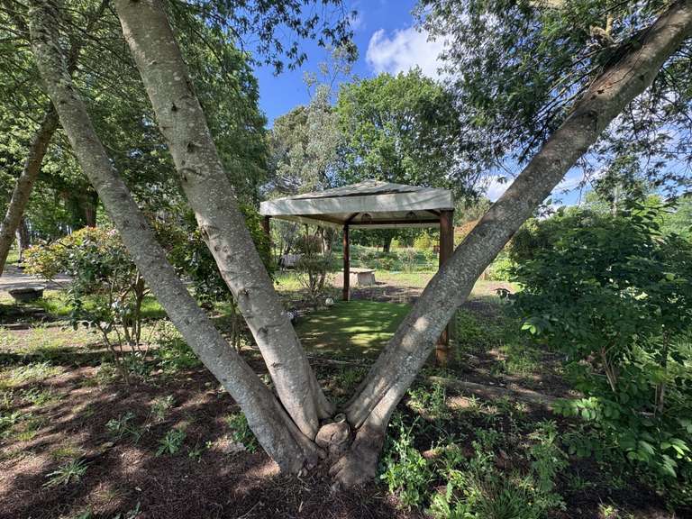 Maison Morcenx-la-Nouvelle - 360m²