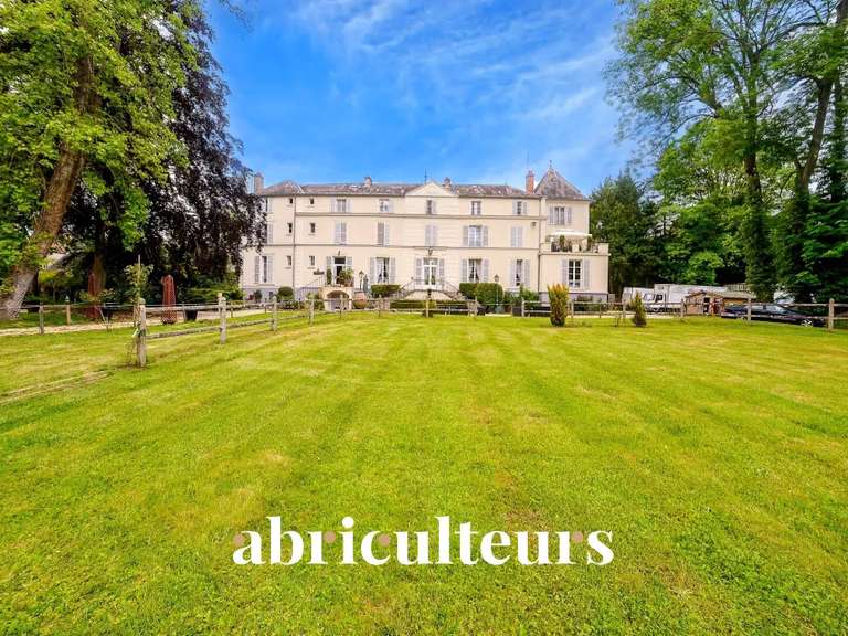 Château Morigny-Champigny - 14 chambres - 1000m²