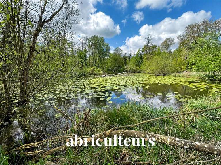Château Morigny-Champigny - 14 chambres - 1000m²