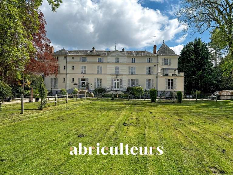 Château Morigny-Champigny - 14 chambres - 1000m²