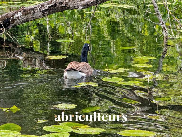 Château Morigny-Champigny - 14 chambres - 1000m²