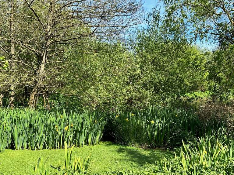 Manoir Morlaix - 6 chambres - 720m²