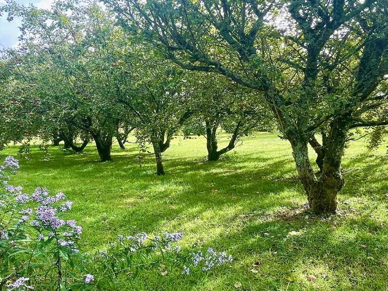 Manoir Morlaix - 6 chambres - 720m²